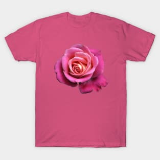 Pink Rose Gift T-Shirt